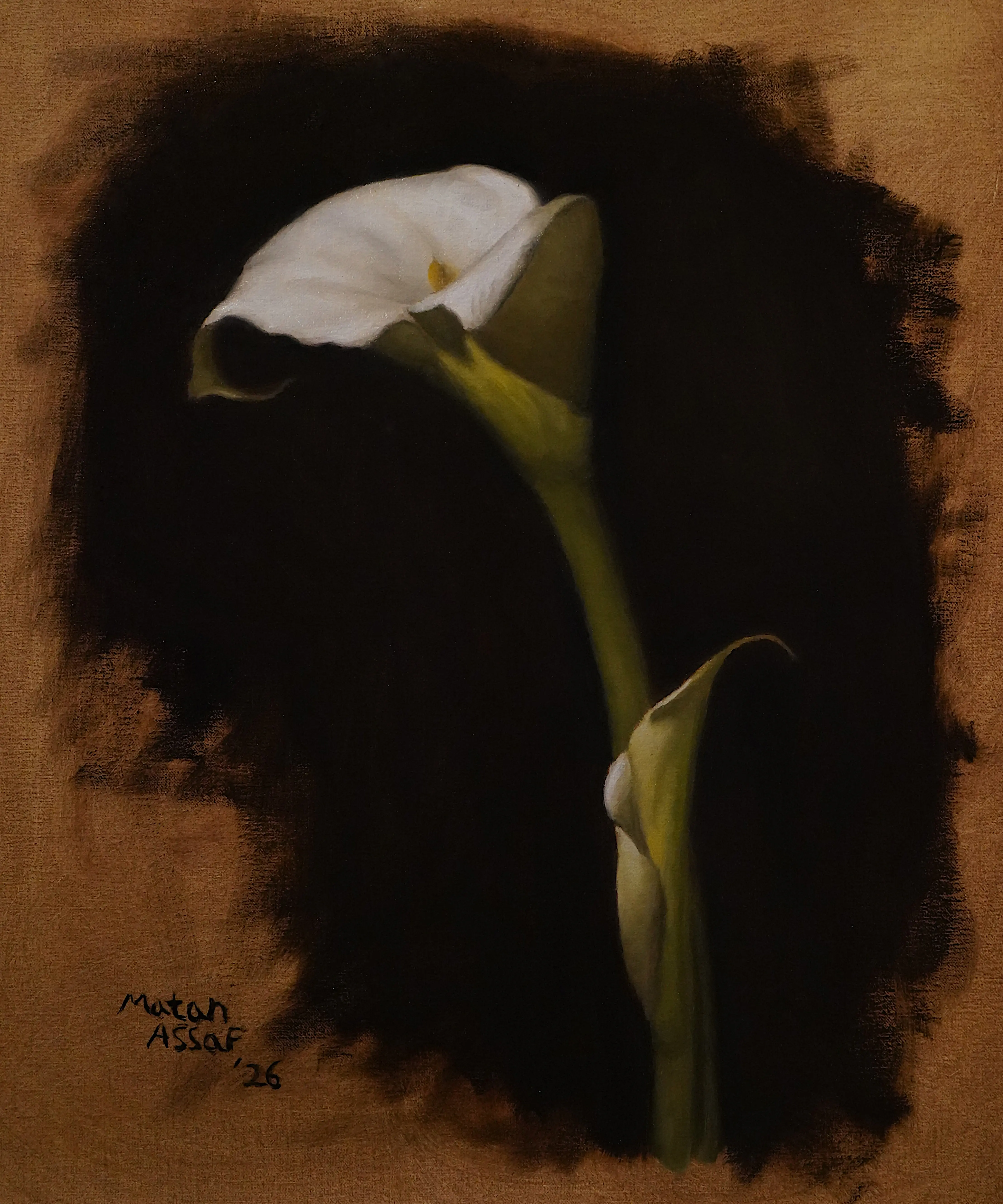 Calla Lilies oil painting still life